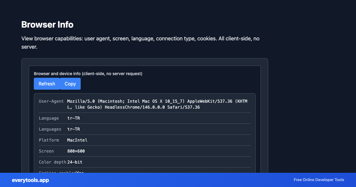 Browser Info – Free Online Tool Screenshot